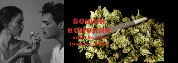 твердый Верхний Тагил