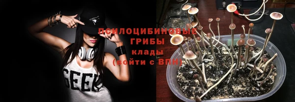 дурь Верея