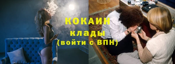 твердый Верхний Тагил