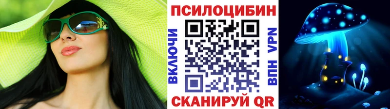 Псилоцибиновые грибы Psilocybe  Купить где  Похвистнево 